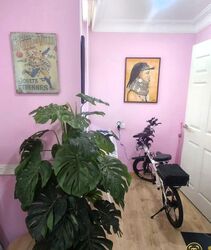 The Sunflower (D14), Apartment #632992071